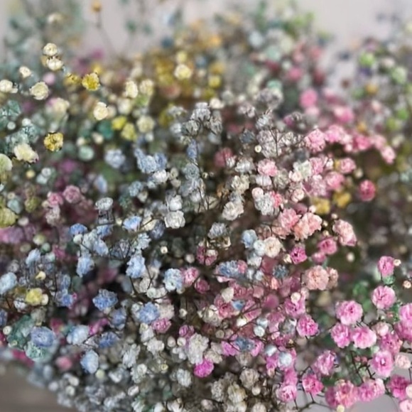 Silent 🤫 Show Notification 💕​ - Picture 12 of 15